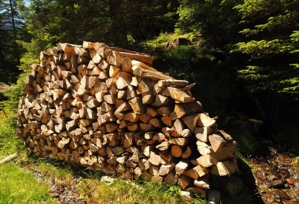 King Gazon Gazon Naturel En Plaque Alpes Maritimes Bois De Chauffage 5